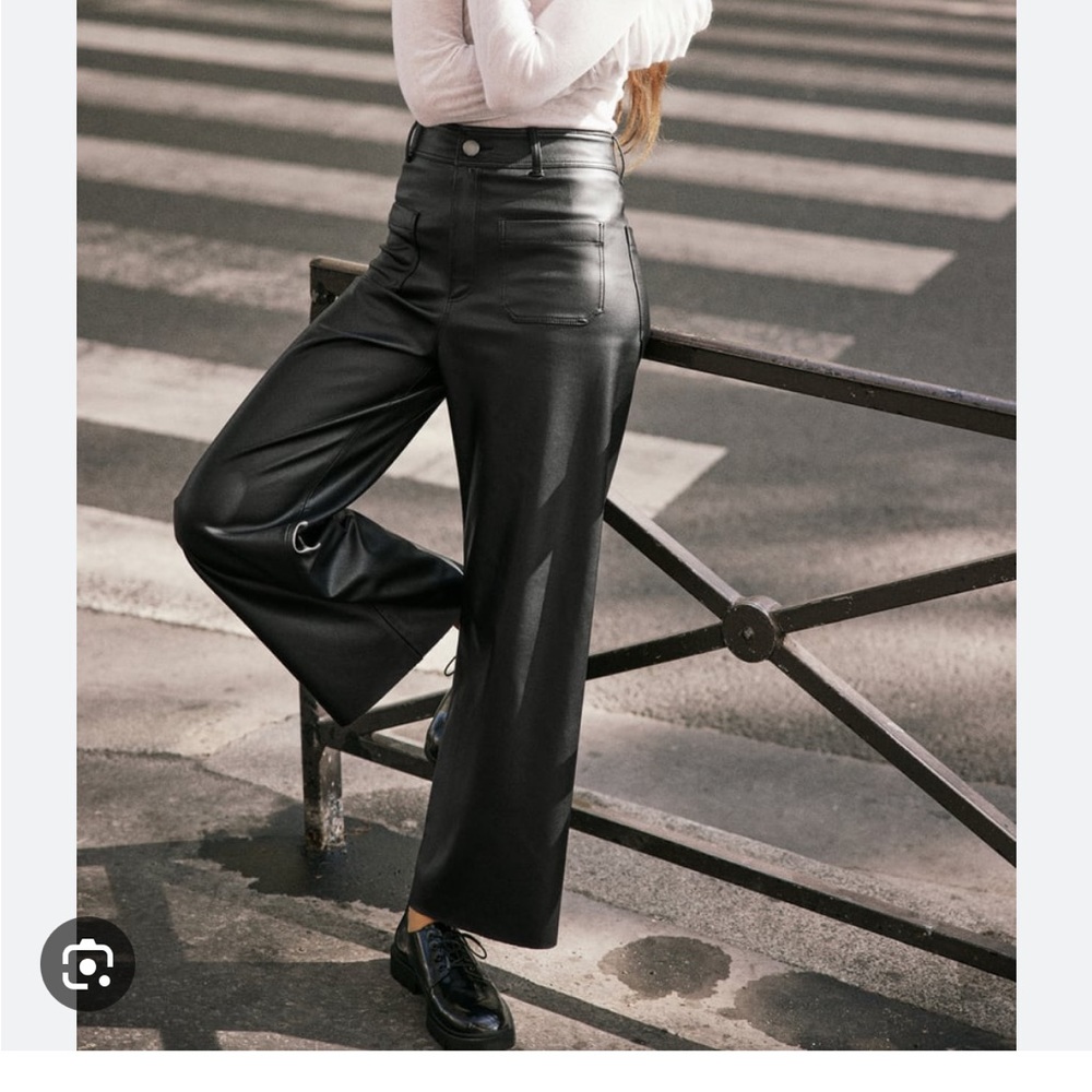 Zara marine leather pants